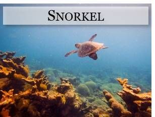 snorkel